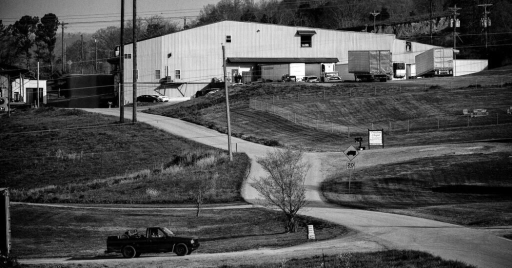 80,000 Pounds of Beef Stolen From Tennessee Slaughterhouse